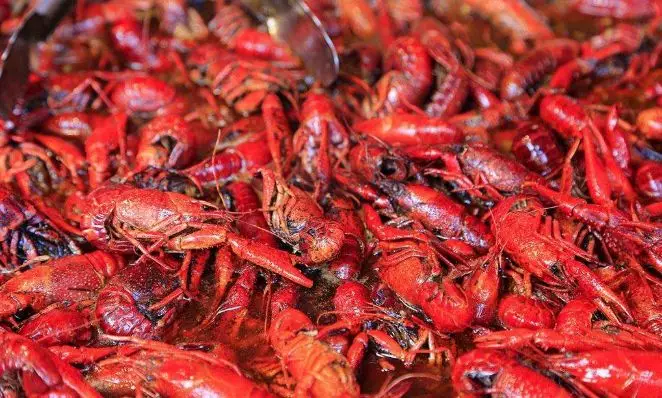 小龍蝦大戰(zhàn)開幕，看看京東、天貓、國聯(lián)、信良記、安井都是如何搶蝦的？