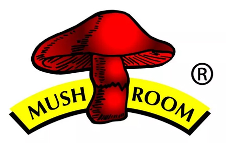 1557046020806449.jpg quanli (1).jpg