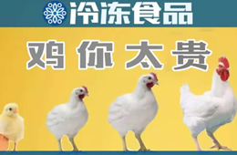 量?jī)r(jià)齊升，養(yǎng)白羽肉雞咋還虧了？