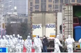 武漢華南海鮮市場完成大規模消殺；牛蛙、烏龜不列入禁食范圍