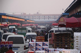 追蹤 | 冷庫停業，旺季將至，急壞凍品人！怎么辦？