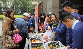 社區團購分化洗牌，團長先淪為“炮灰”