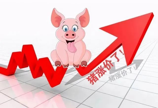 1665626225528103.jpg 微信圖片_20221013095451.jpg