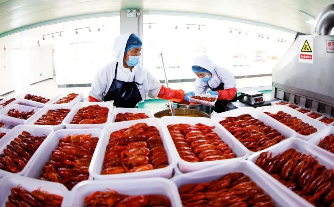 1692150002321349.jpg 1692150002321349.jpg