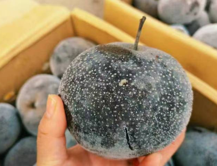 1736734411690879.jpg 微信圖片_20250113100309.jpg