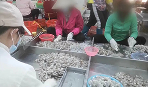 3·15晚會(huì)曝光凍蝦仁超量添加保水劑，相關(guān)企業(yè)產(chǎn)品下架