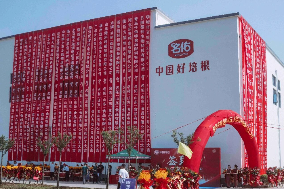 1765505195786478.png 1765505195786478.png