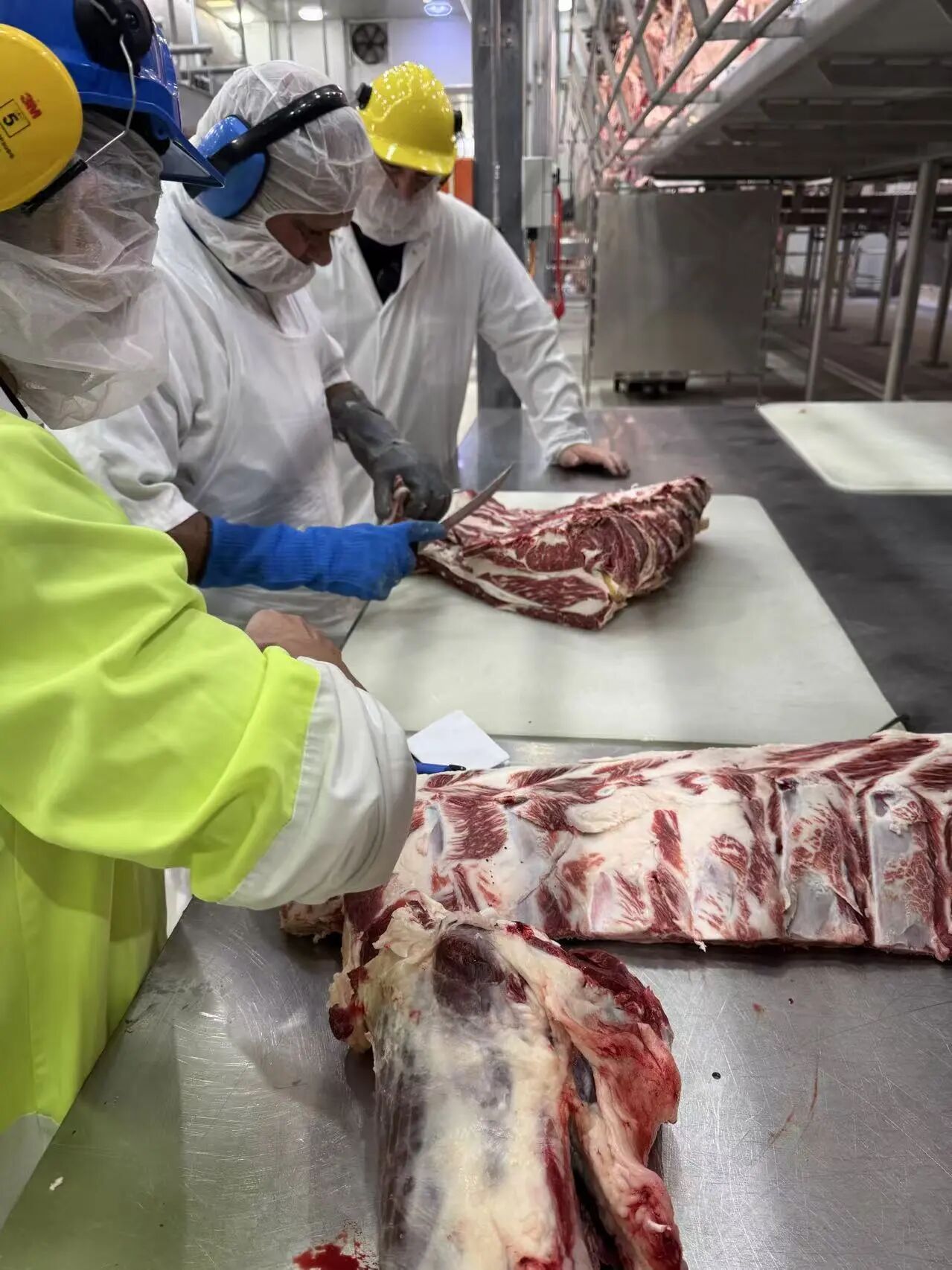 1767839123462642.jpg 1767839123462642.jpg