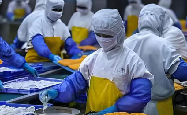 春雪、龍大、匯洋、南滬…肉制品、水產(chǎn)品、海鮮水餃全面開花，煙臺“食”力突圍